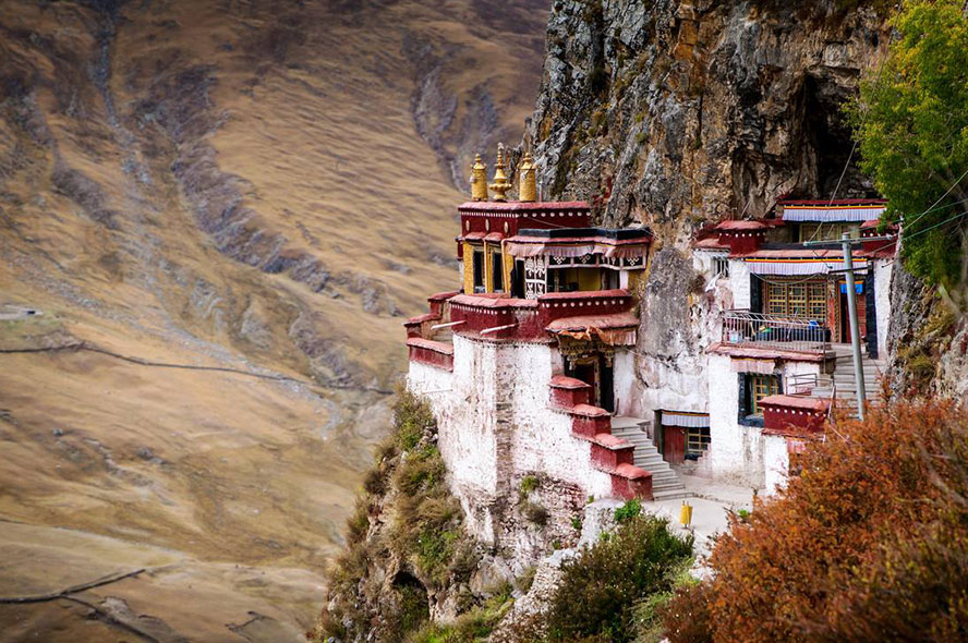 Nature & Photography