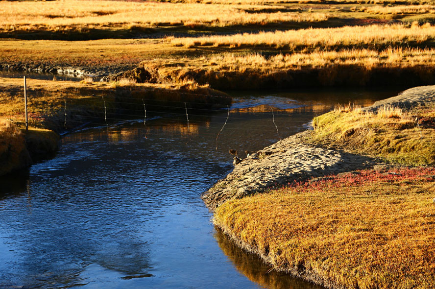 11 Days Nyingchi Peach Blossom Festival Tour