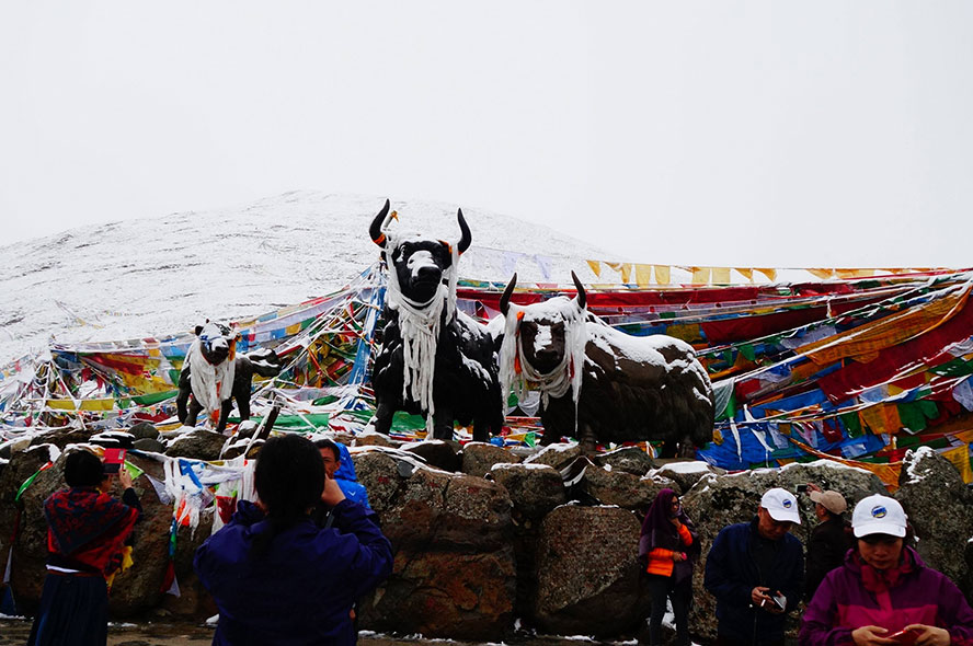 8 Days Nyingchi Peach Blossom Festival Tour