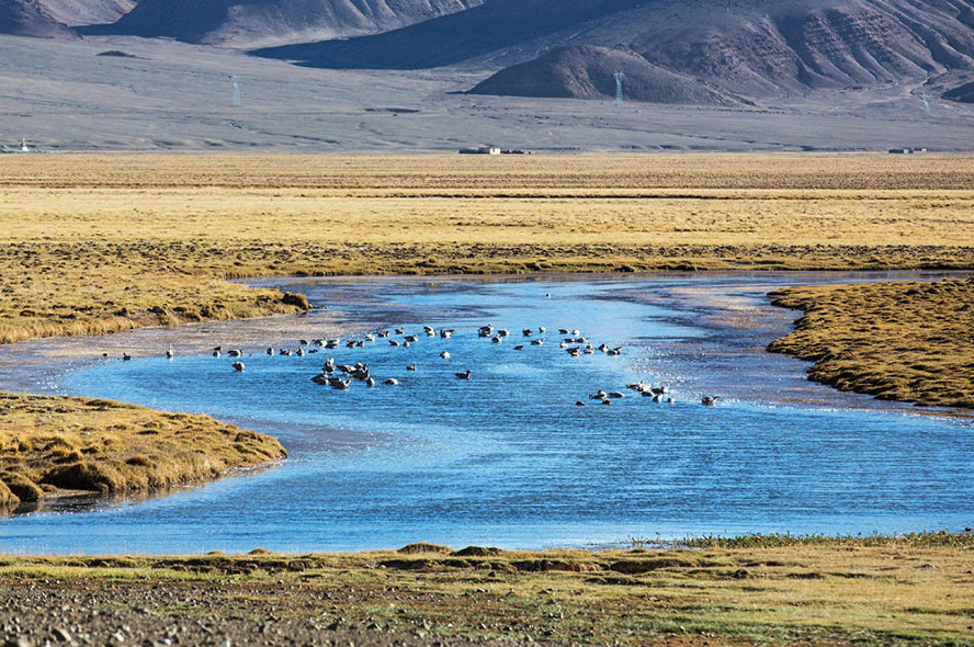 19 Days Big Loop Tour around Ngari from Lhasa