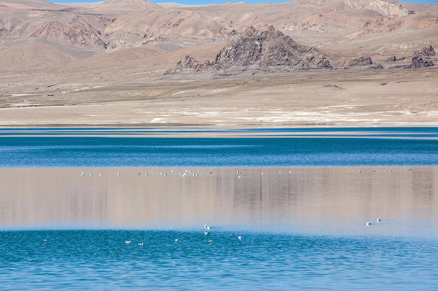 10 Days Treking Tour from Shalu to Nartang