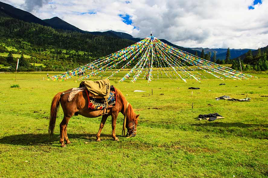 12 Days Overall Tibet Group Tour: Lhasa, EBC, Nyingchi & Holy Lakes (Tibet’s Four Pillars)