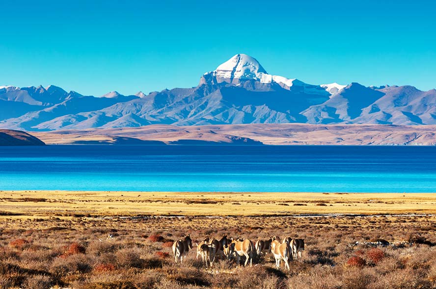 14 Days Ultimate Tibet Group Tour: Mount Kailash, Guge Kingdom & Hidden North